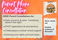 Parent Consultation (45 minute phone / video call)