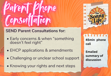 Parent Consultation (45 minute phone / video call)